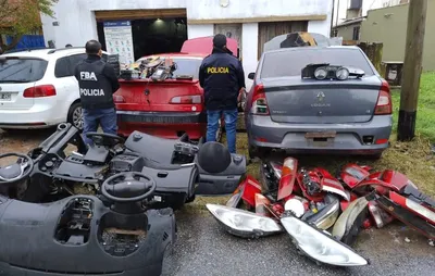 multimedia.miniatura.b0e4f74f4cb9f937.MyBQUklOQ0lQQUxfbWluaWF0dXJhLndlYnA=