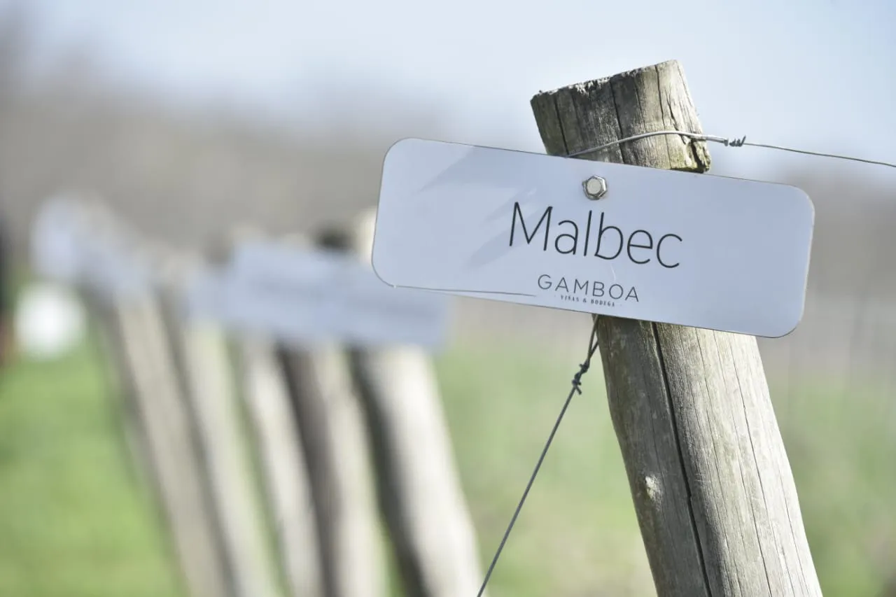 Imagen de WhatsApp 2023-08-09 a las 09.12.50