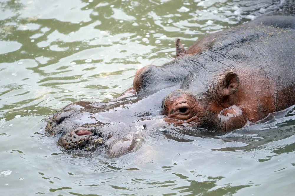 WhatsApp Image 2026-03-06 at 11.04.57 (1)