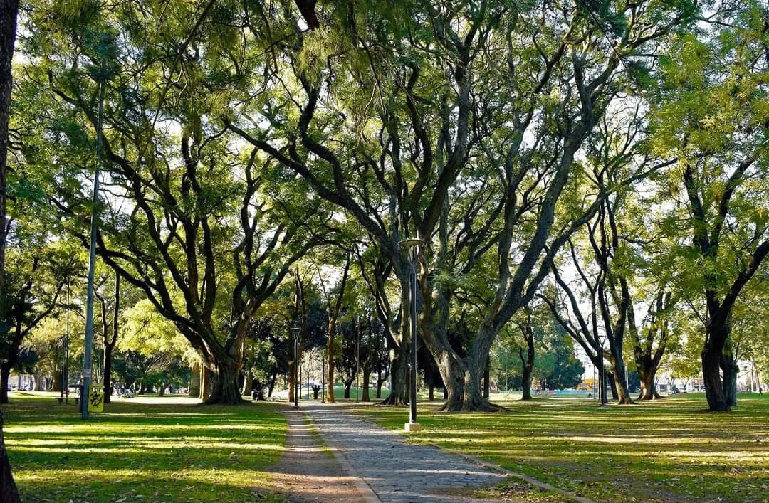 WhatsApp Image 2025-06-02 at 11.26.42