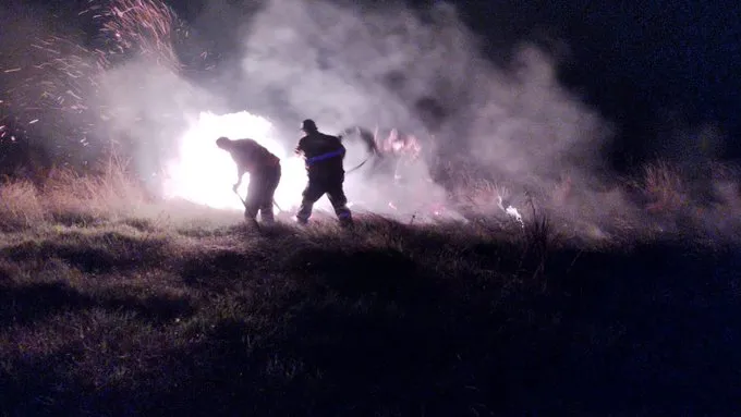 multimedia.normal.8def43cdff471a94.NzNmOWEzMDAtYzhhNi00ZTM4LWFmNTUtMjk2NzliMzdfbm9ybWFsLndlYnA=