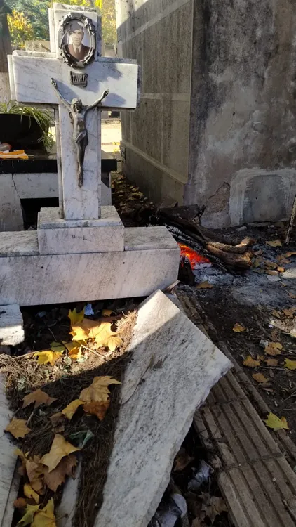 ea2bde81-f91d-4606-acff-7ed64d42ab30