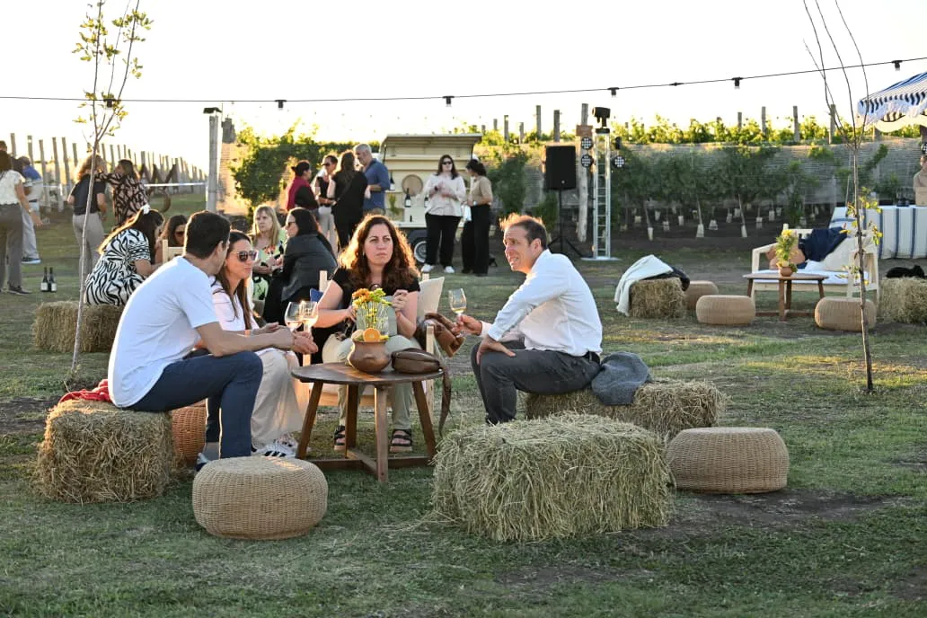 WhatsApp Image 2026-02-17 at 20.17.04 (1)