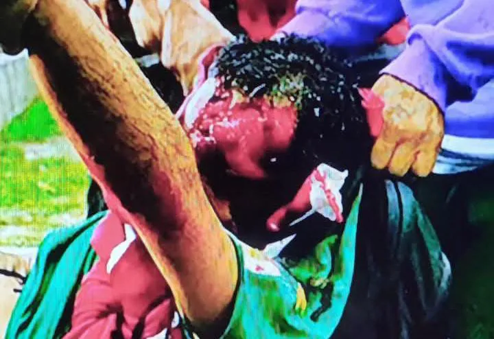 3b259d7e-861f-47f3-bbc7-ebb954fa8fbf