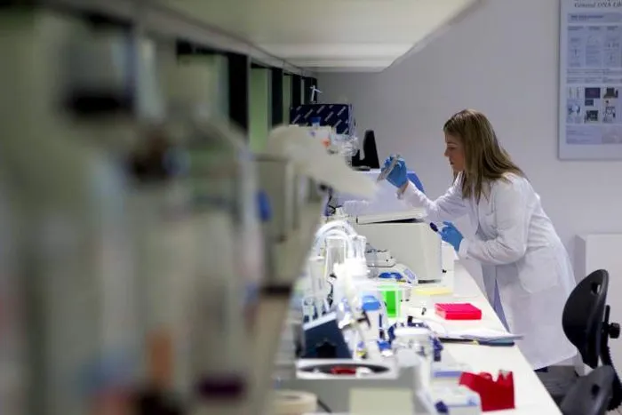 multimedia.normal.a4b22c8d7f4a4674.MTMgUFJJTkNJUEFMX25vcm1hbC53ZWJw